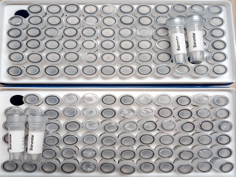 CAR-T Vial Rack