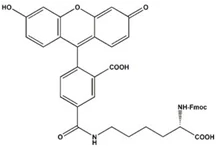 product-217-148 product-217-148